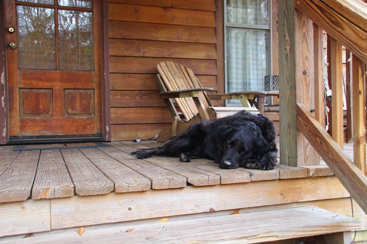 Berry Creek Cabins Bed & Breakfast Isabel Ngoại thất bức ảnh