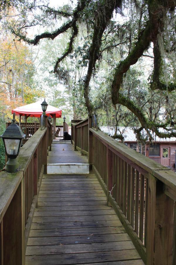 Berry Creek Cabins Bed & Breakfast Isabel Ngoại thất bức ảnh